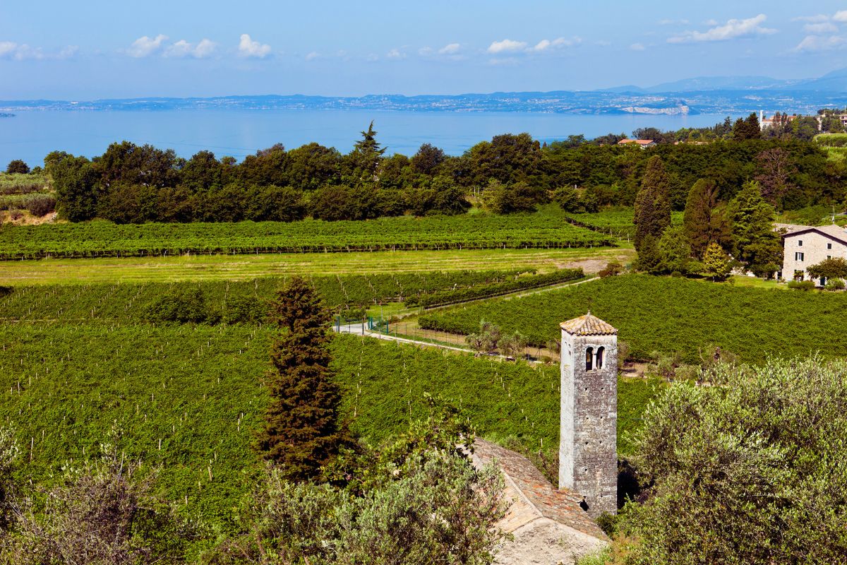 Bardolino-Gardasjøen Bardolino ved Gardasjøen – vinmarker, landsbykirke og utsikt over innsjøen i Veneto