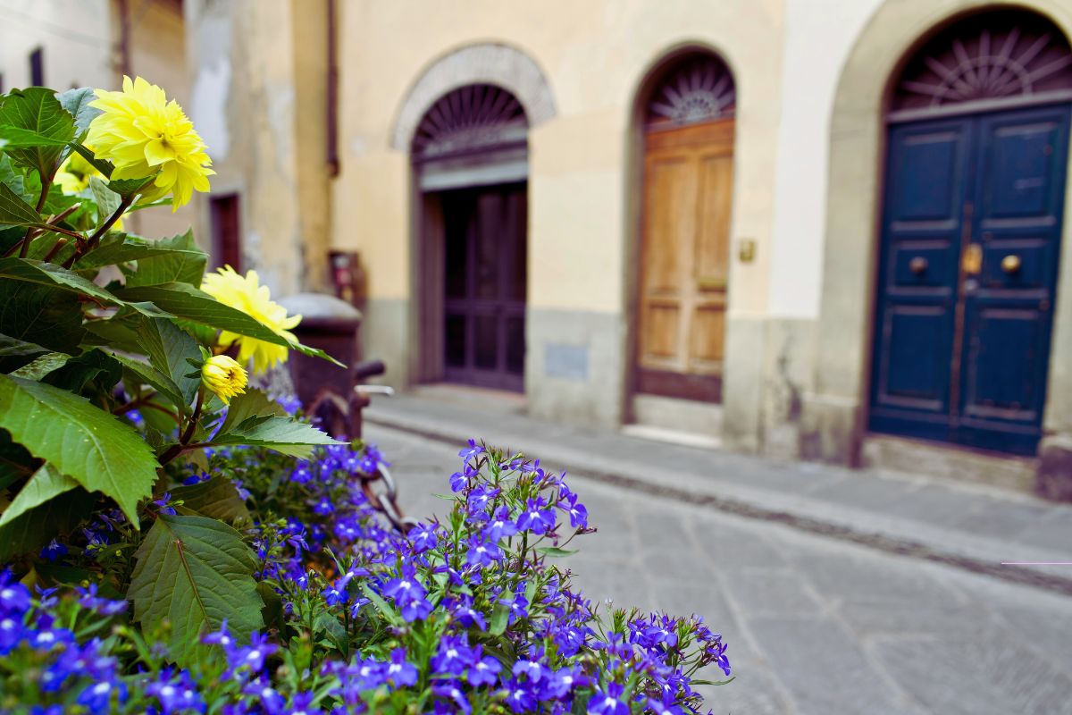 Detalj fra en gate i Firenze – med fargerike blomster, gamle dører og typisk toskansk stemning.