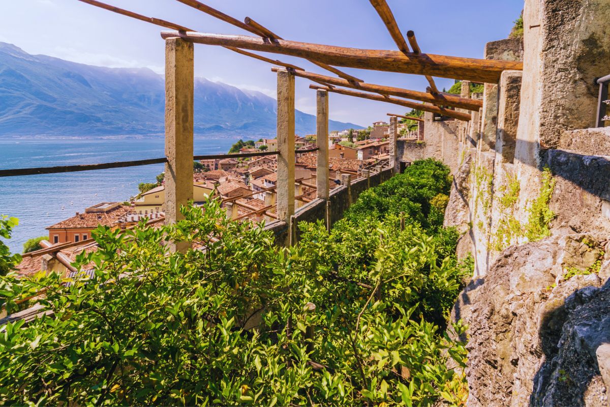 Limone sul Garda Limone sul Garda – utsikt over den vakre landsbyen, Gardasjøen og historiske sitronhager i Nord-Italia.