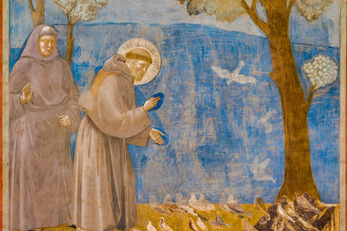 Affresco San Francesco-Giotto Freske av Giotto i den øvre basilikaen i Assisi: San Francesco prediker for fuglene, et av de mest kjente motivene i franciskansk kunst.