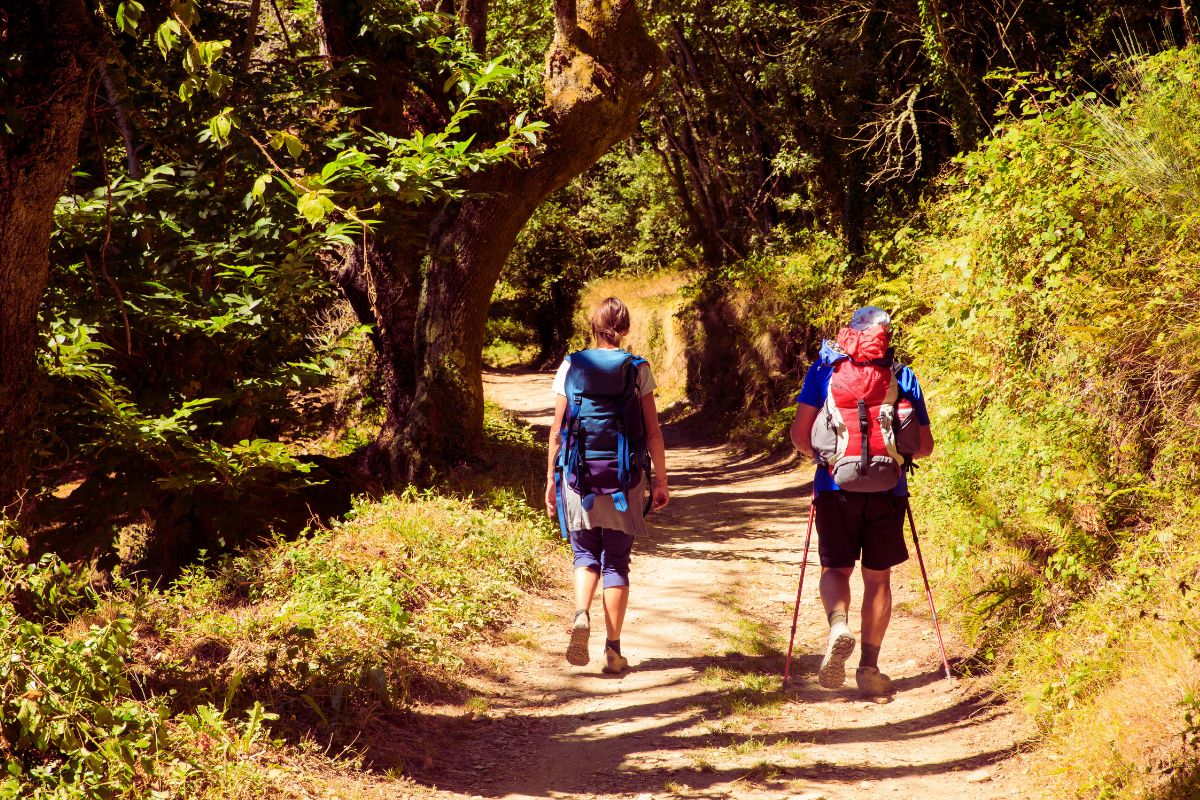 Pilegrimer til fots på Via Francigena i Italia, vandrende langs en skogsti med ryggsekker.