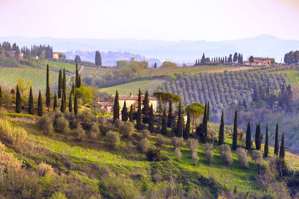 Vinmarker i Chianti i Toscana med sypresser og bølgende åser i det toskanske landskapet.