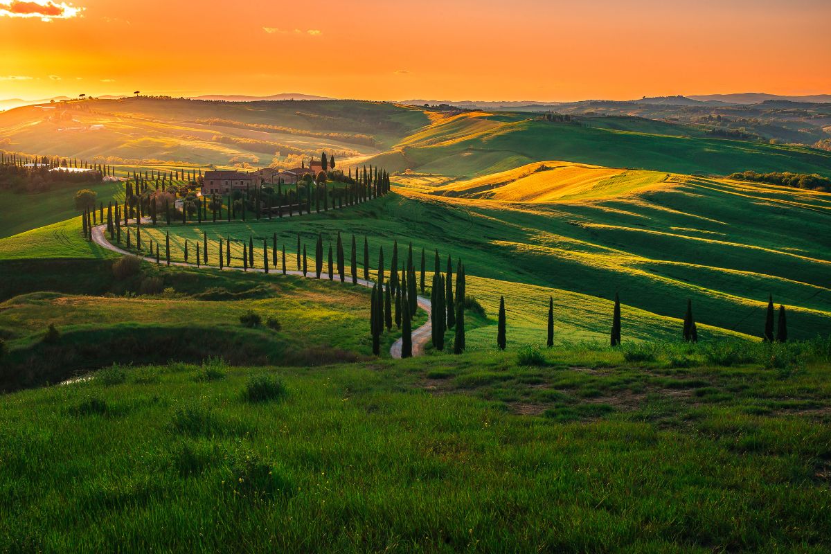 Bølgende landskap i Toscana ved solnedgang, med sypresser langs en svingete grusvei i Val d’Orcia.